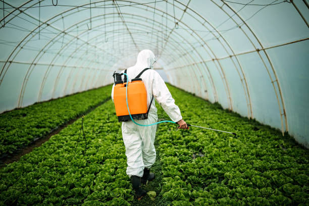 Best Commercial Pest Control Services  in Narrows, VA