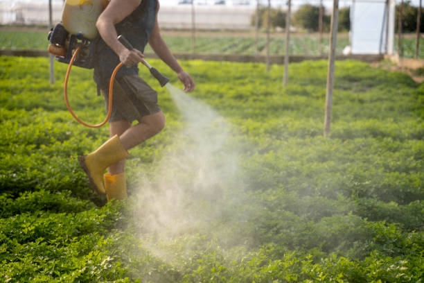 Pest Control for Restaurants in Narrows, VA
