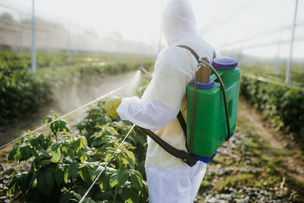Best Insect Control  in Narrows, VA
